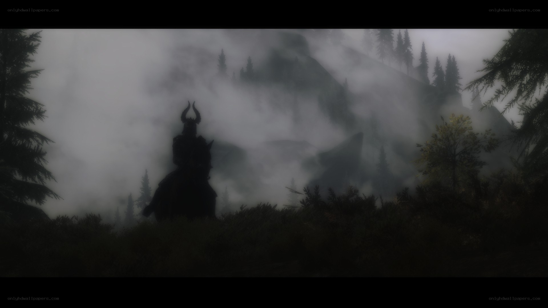 silhouette in misty forest