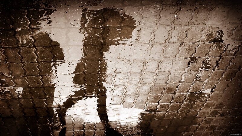 Silhouette in Puddle — Brown