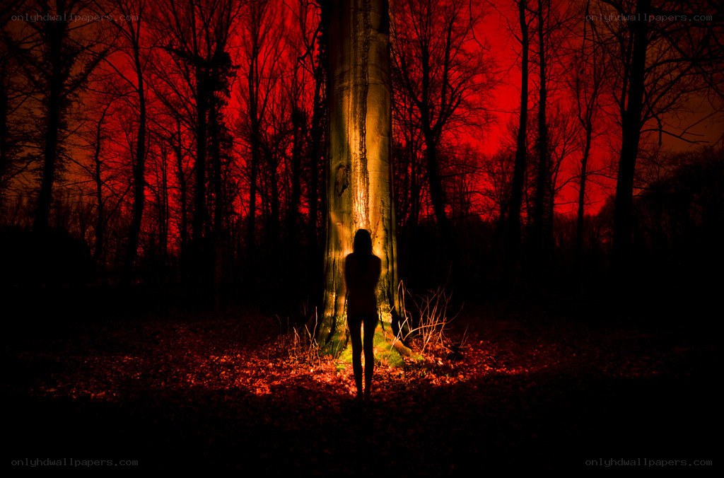Silhouette in red forest