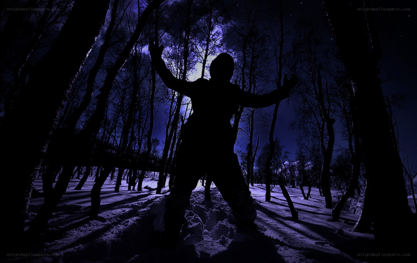 Silhouette in snowy forest