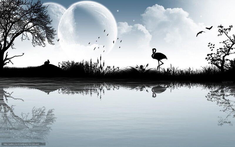 Silhouette landscape with moons