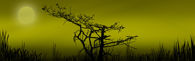 Silhouette of a bare tree at dusk