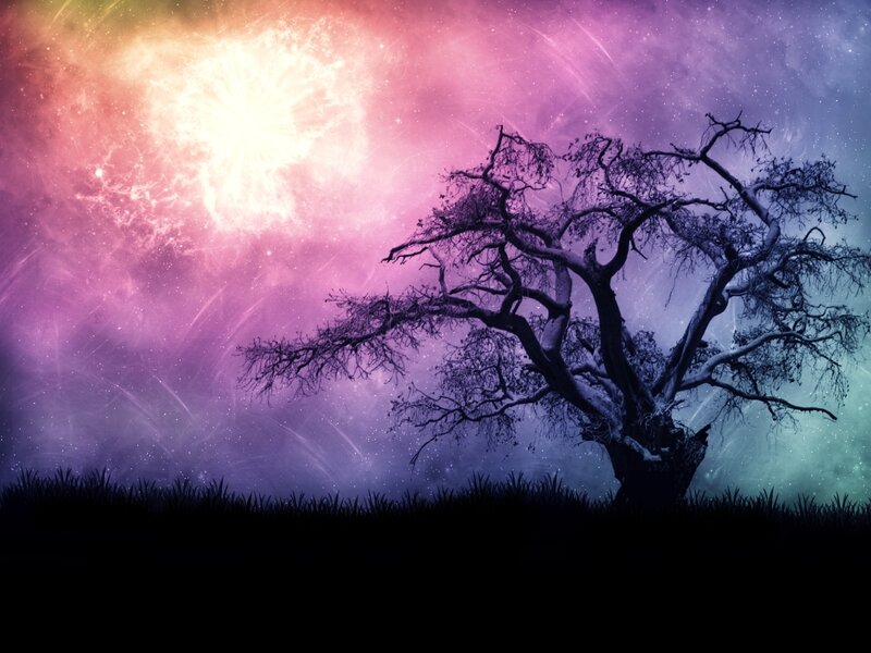Silhouette of a Bare Tree — Purple