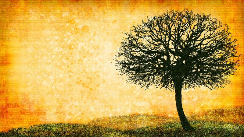 Silhouette of a Bare Tree — Yellow