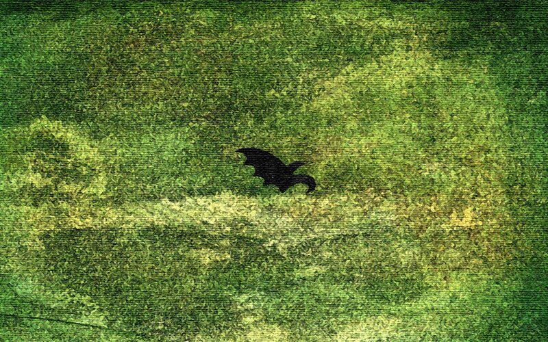 Silhouette of a bat in flight
