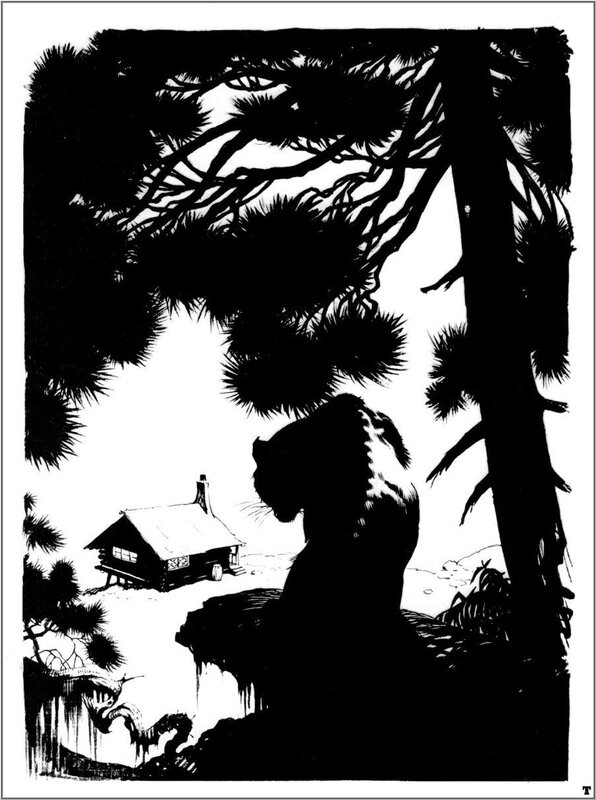 Silhouette of a bear in the forest
