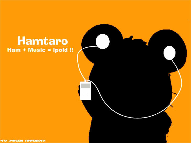 Silhouette of a Bear — Orange