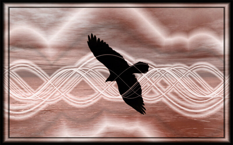 Silhouette of a Bird — Black, Dramatic