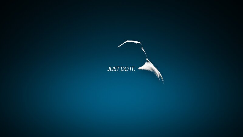 Silhouette of a Bird — Blue, Dramatic, Minimalist, Text, White