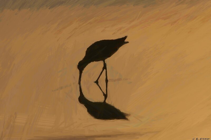 Silhouette of a Bird — Brown