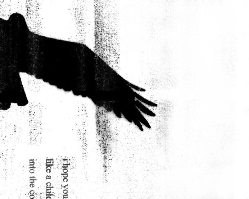 silhouette of a bird in flight