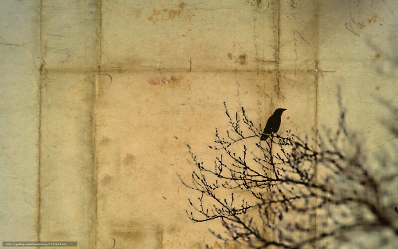 Silhouette of a bird on a branch
