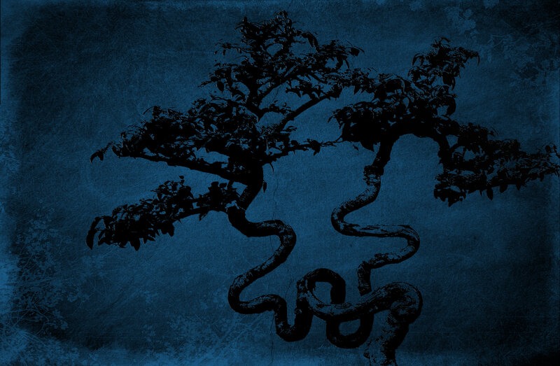 silhouette of a bonsai tree