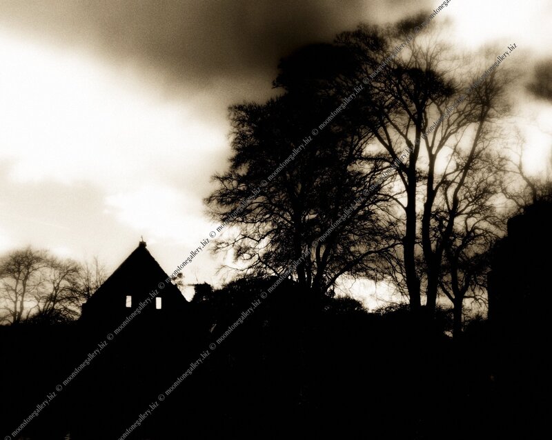 Silhouette of a building and trees
