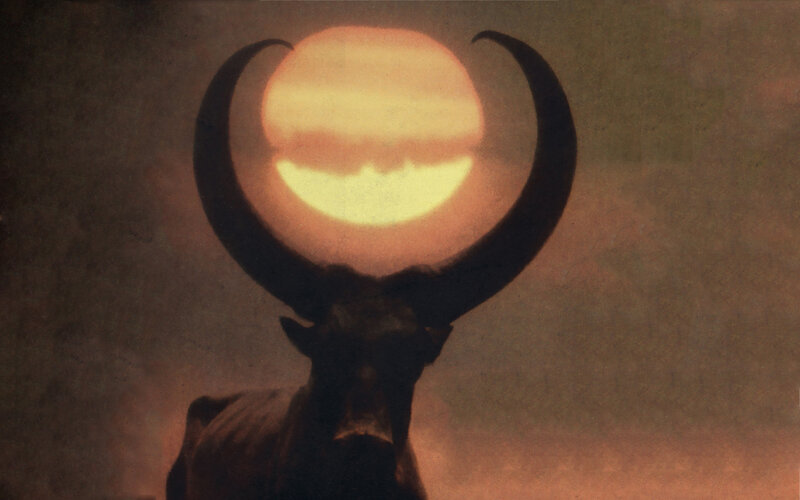 Silhouette of a bull with sun