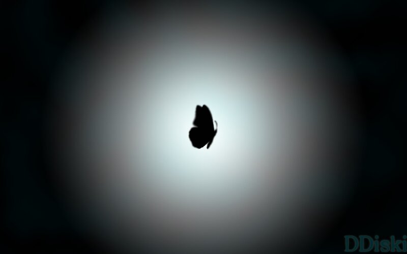 silhouette of a butterfly