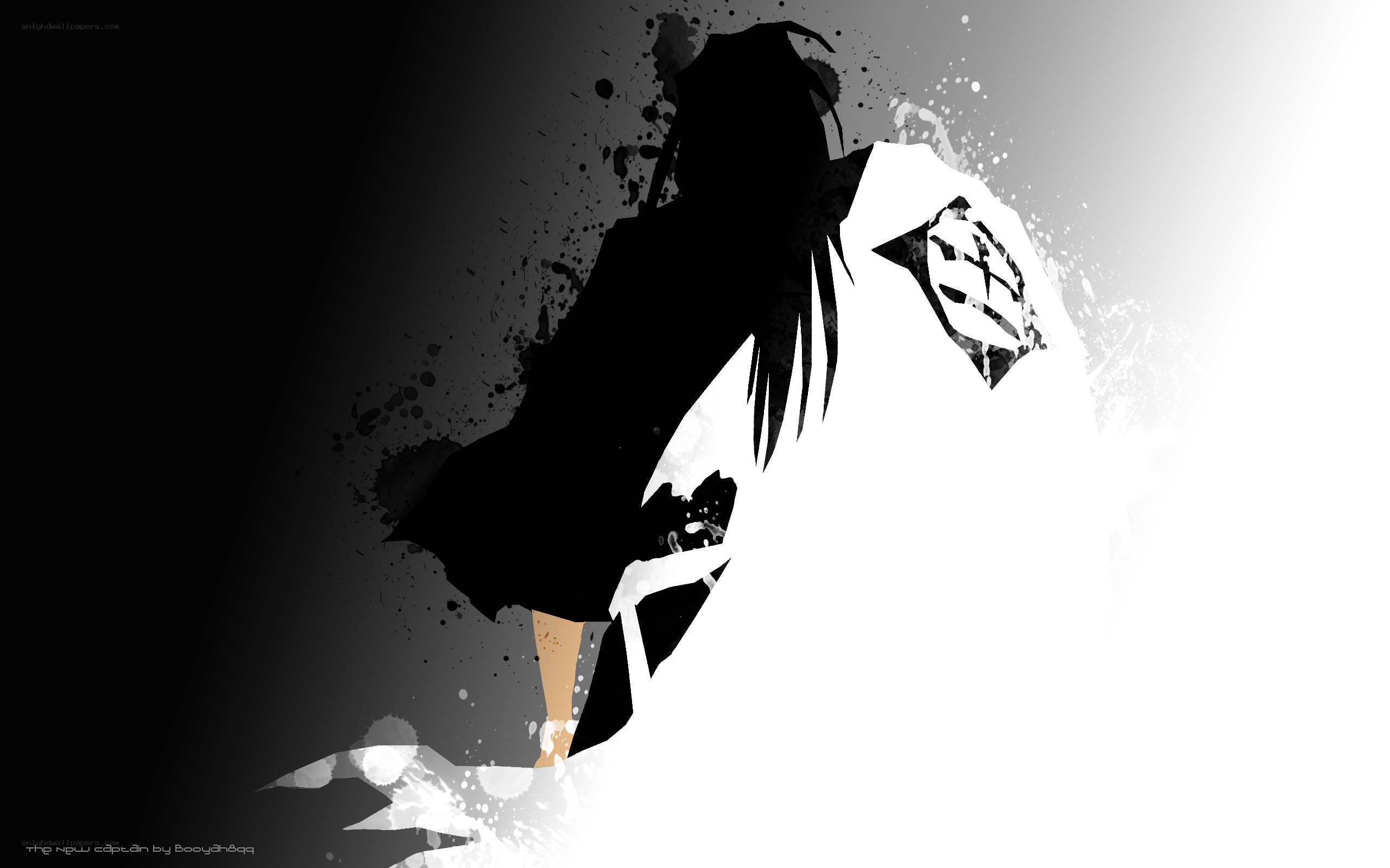 silhouette of a captain