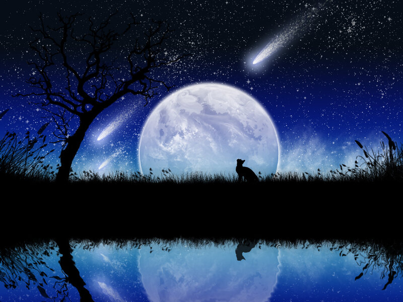 Silhouette of a Cat — Blue, Serene
