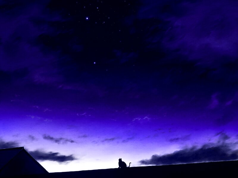 Silhouette of a Cat — Purple, Serene
