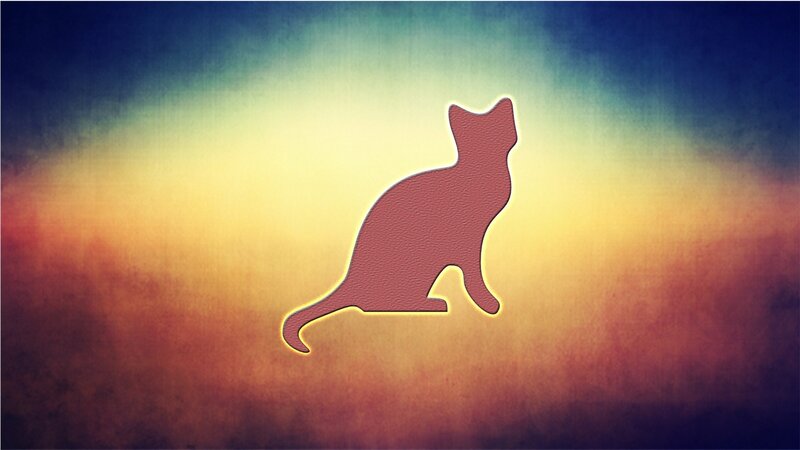 Silhouette of a Cat — Yellow, Dramatic, Sunset