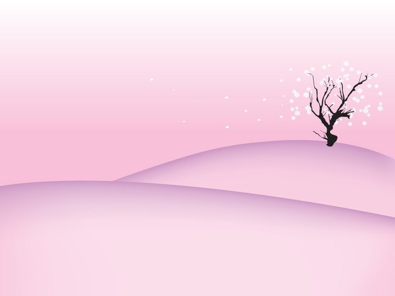 Silhouette of a Cherry Blossom Tree