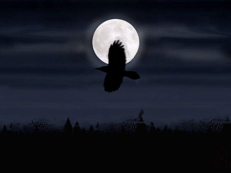 Silhouette of a Crow