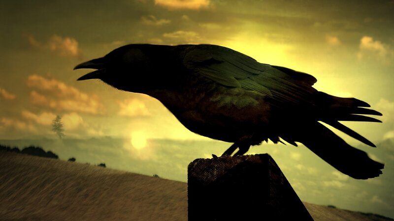 Silhouette of a Crow — Yellow, Dramatic