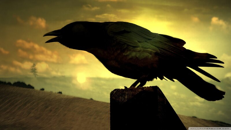 Silhouette of a Crow — Yellow