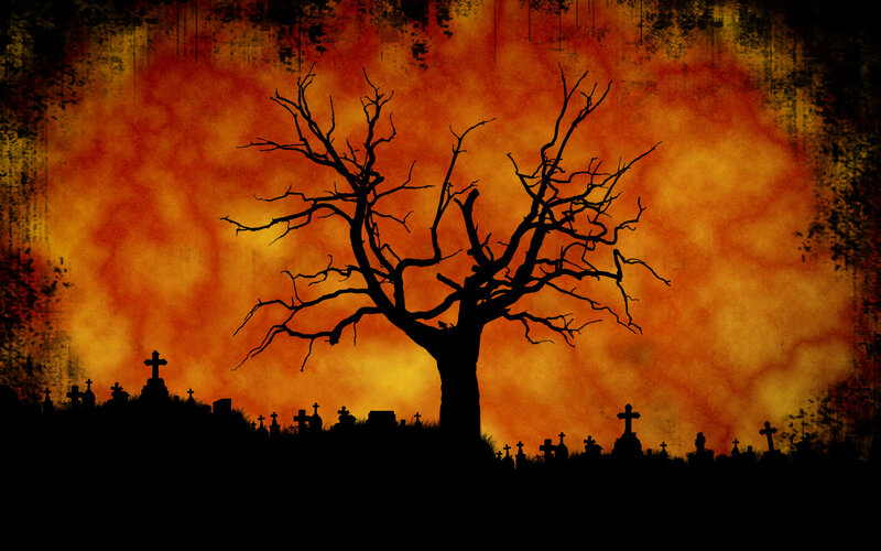 Silhouette of a dead tree in a graveyard