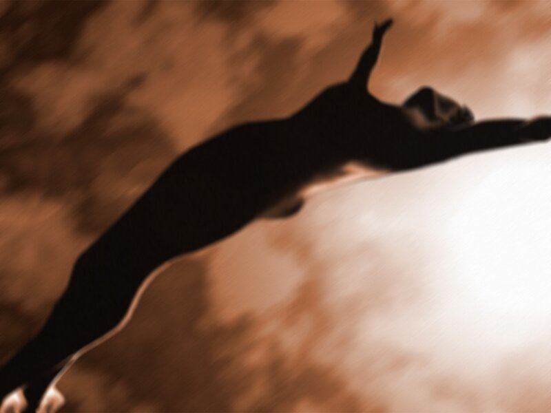 silhouette of a diver
