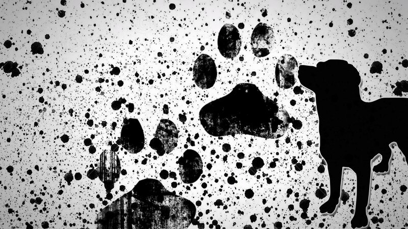 Silhouette of a Dog — Black
