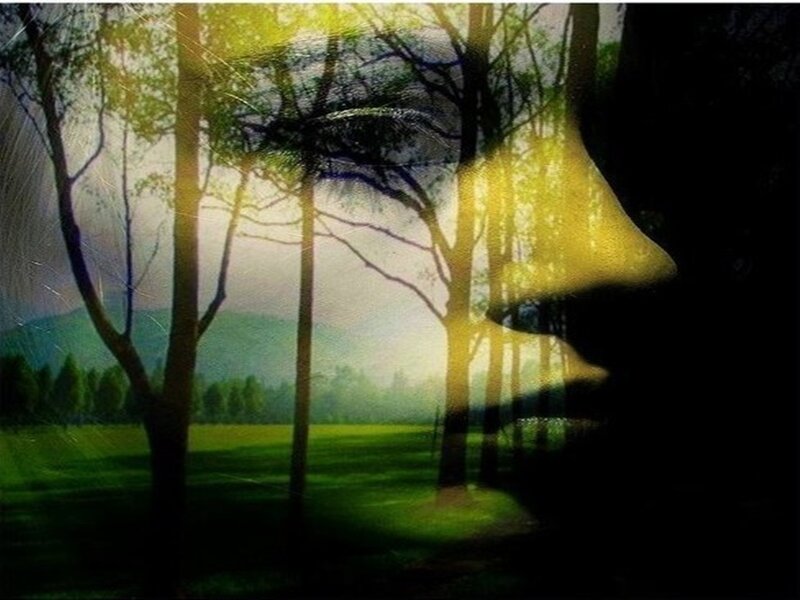 Silhouette of a Face — Green