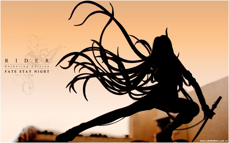 Silhouette of a Female Warrior