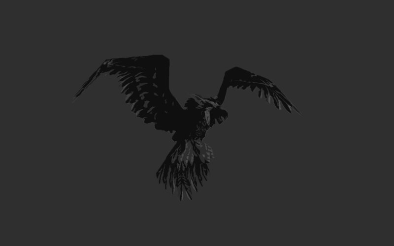 silhouette of a flying bird