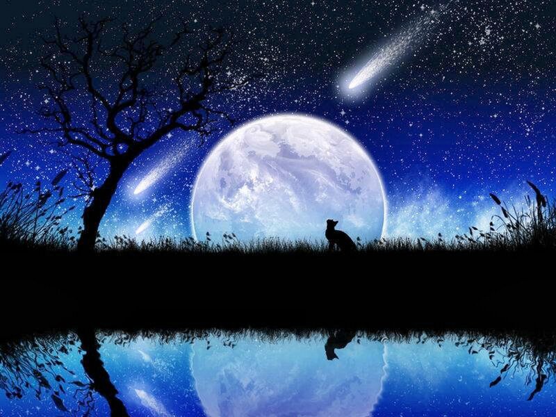 Silhouette of a Fox — Blue