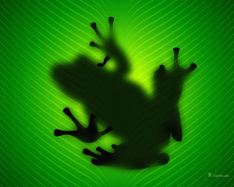 Silhouette of a Frog