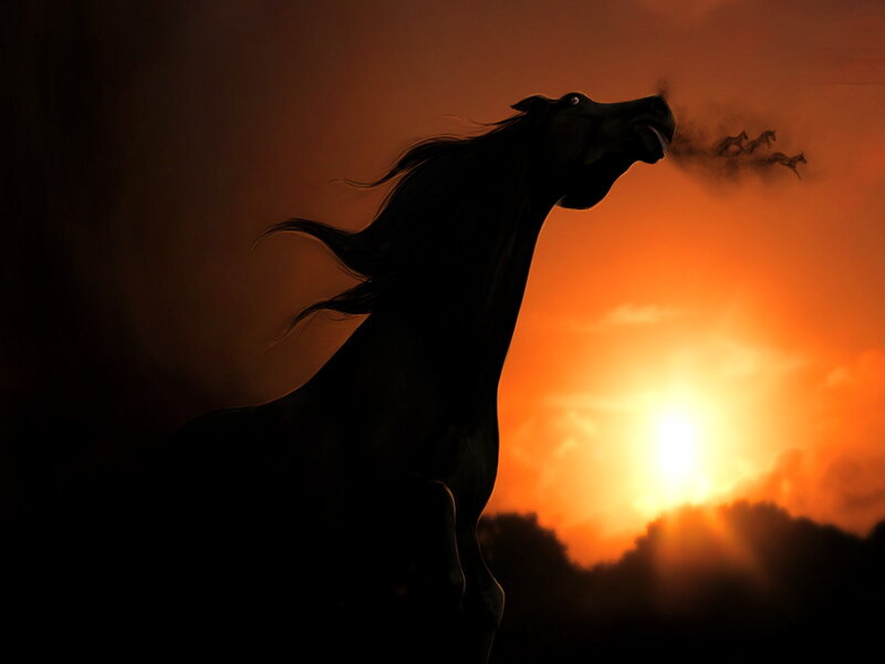 Silhouette of a Horse — Orange, Dramatic, Sunset, Digital Art, Sun