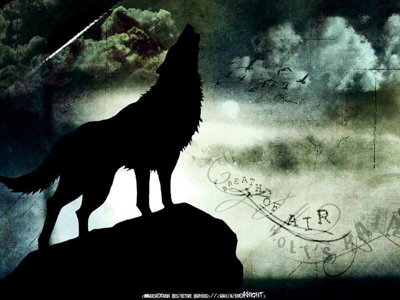 Silhouette of a Howling Wolf — Black, Dramatic, Night