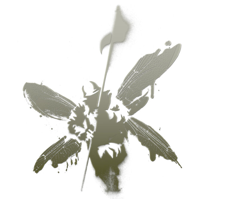 Silhouette of a Knight