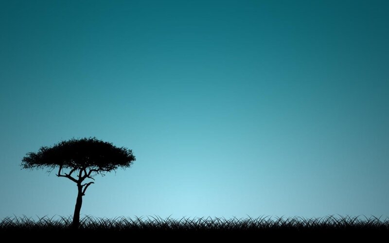 silhouette of a lone tree
