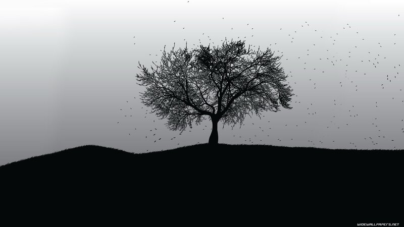 silhouette of a lone tree