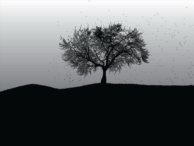 silhouette of a lone tree