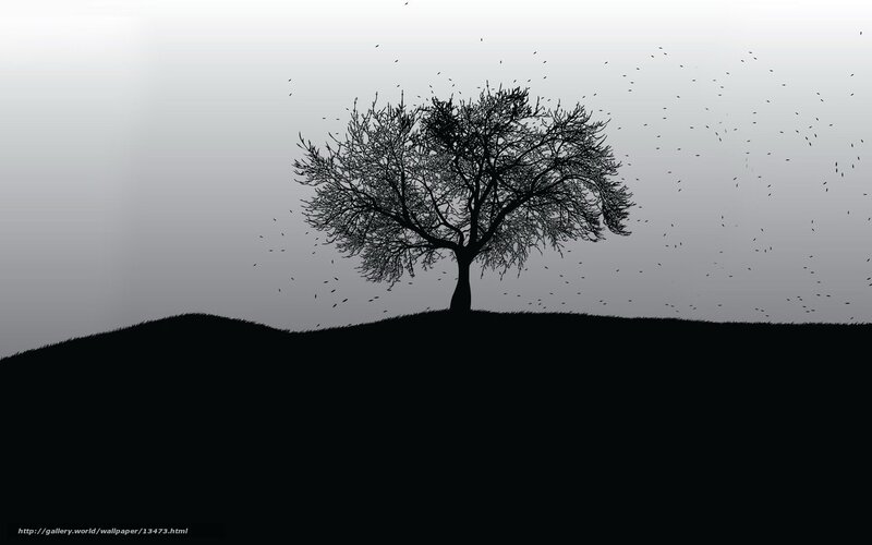 Silhouette of a lone tree
