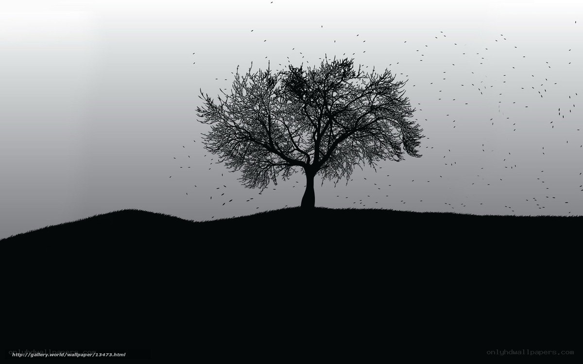 Silhouette of a lone tree
