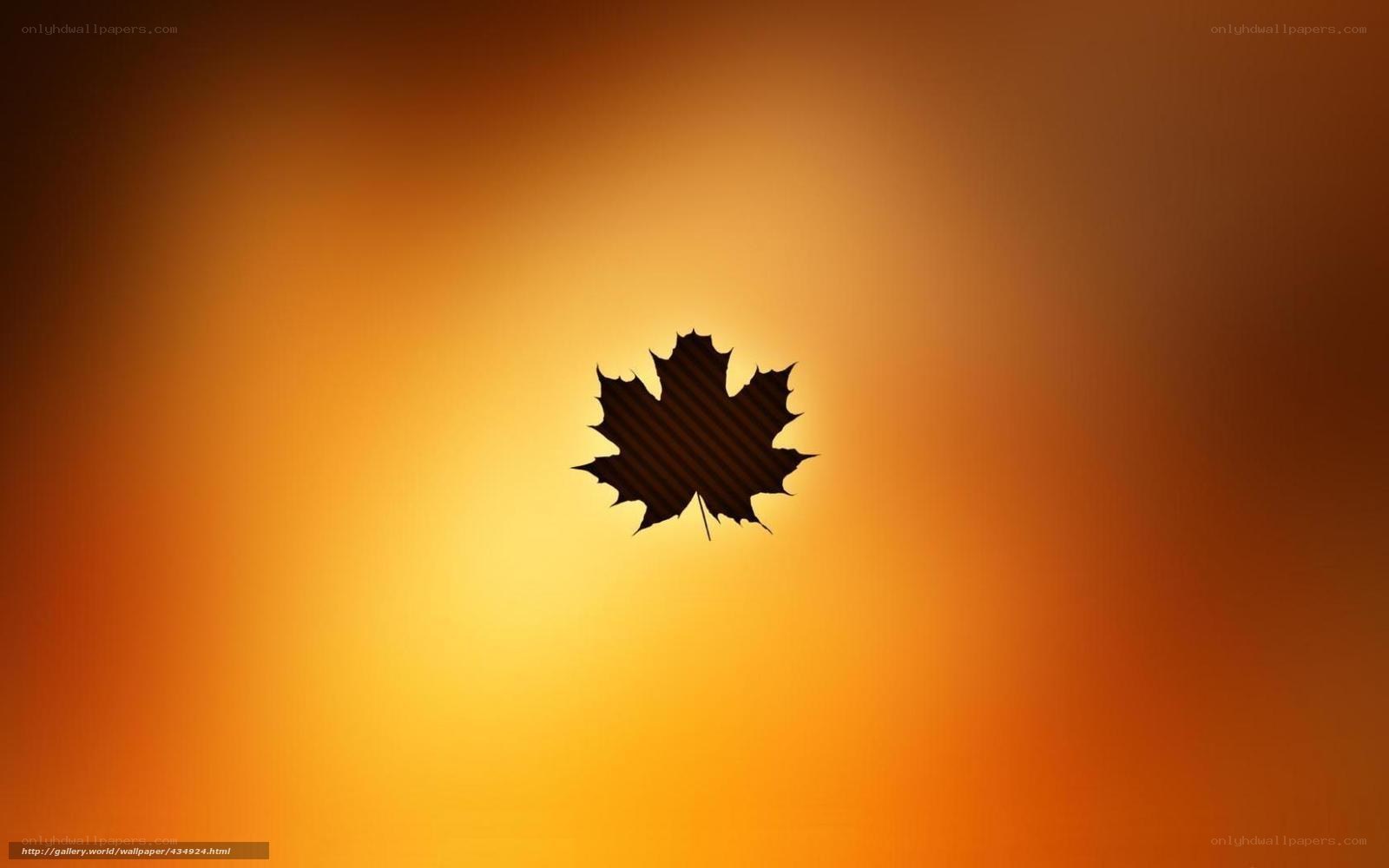 Silhouette of a maple leaf