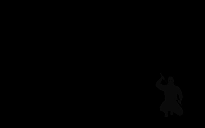 silhouette of a ninja