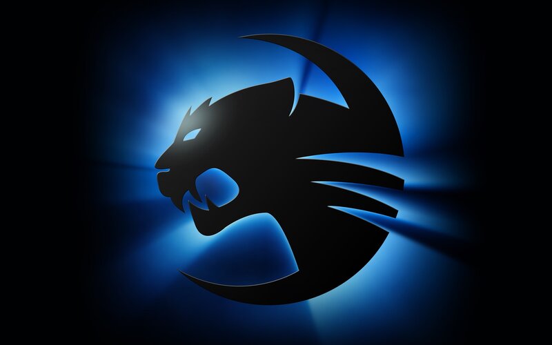 Silhouette of a Panther — Black