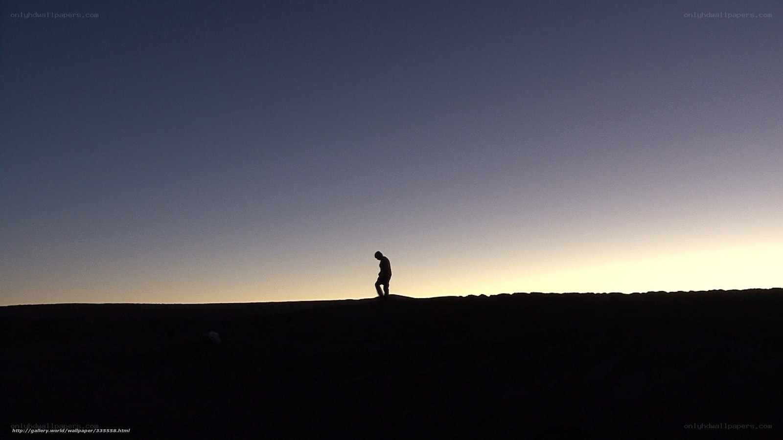 Silhouette of a person at dusk