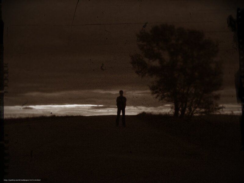 Silhouette of a person in a field
