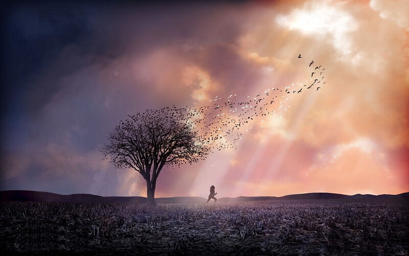 Silhouette of a person running